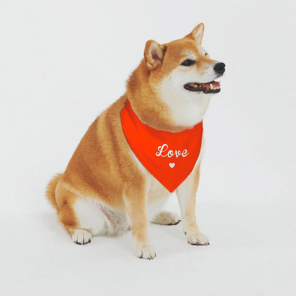 Pawsitively Adorable Valentine's Day Dog Bandana - Custom Text, Adjustable Fit & Vivid Colors for Your Furry Valentine